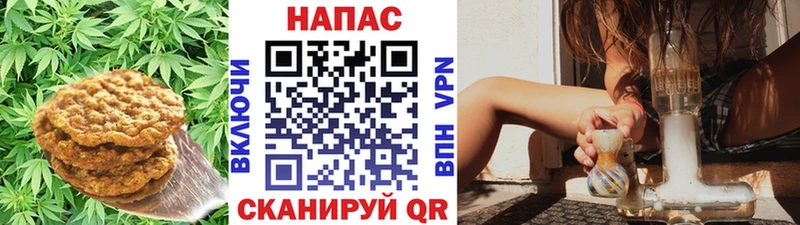 Печенье с ТГК марихуана Гусь-Хрустальный